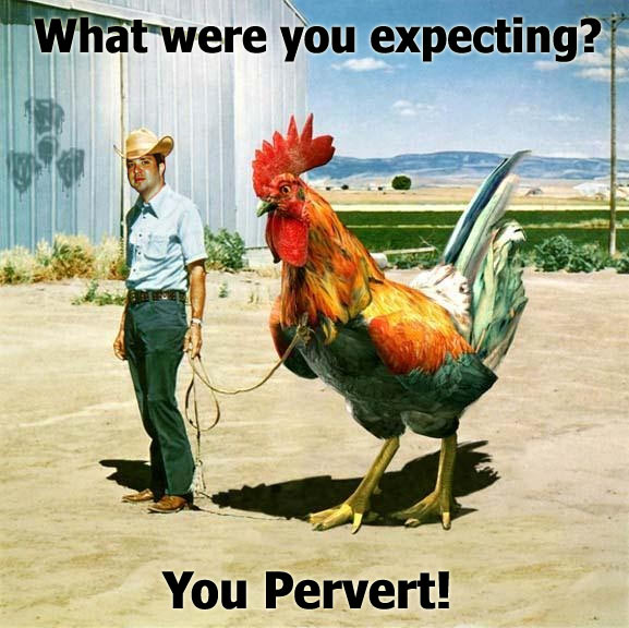 Cock Suck Vid Corperate Radio Sucks